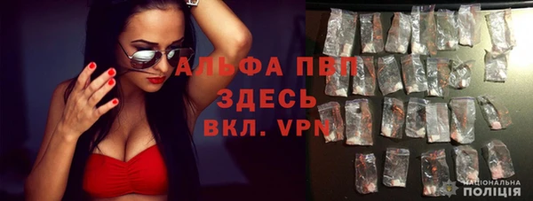 ешки Гусь-Хрустальный