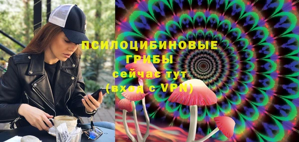 мдпв Гусев