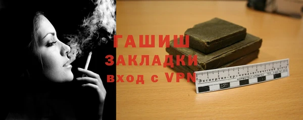 мдпв Гусев