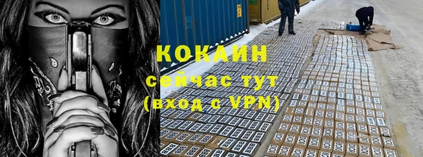 соль ск Дмитров