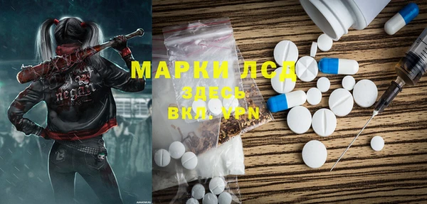 мдпв Гусев