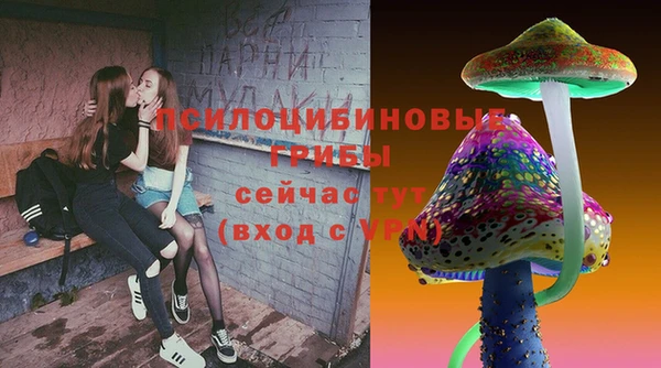 соль ск Дмитров