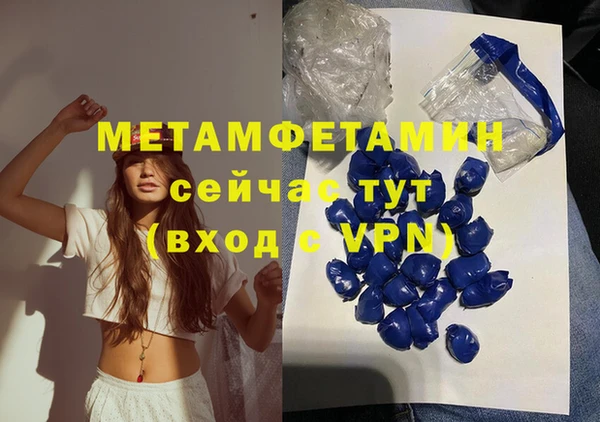 мдпв Гусев