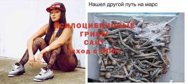 ешки Гусь-Хрустальный
