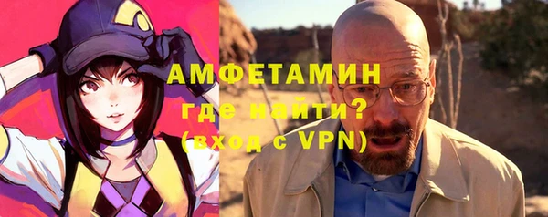 мдпв Гусев